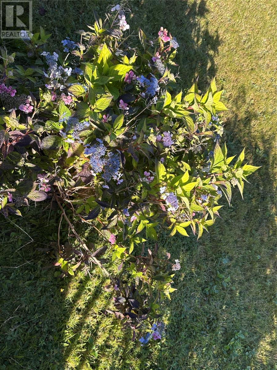 18 Lamaline Highway, Fortune, Newfoundland & Labrador  A0E 1P0 - Photo 9 - 1290872