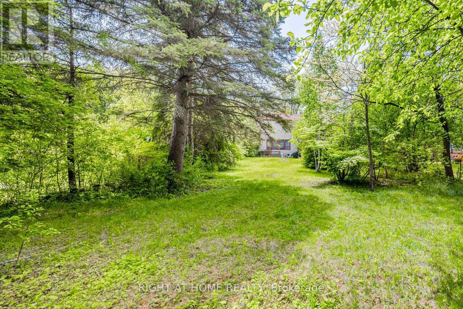 144 Wedgewood Drive, Toronto, Ontario  M2M 2H7 - Photo 30 - C12143089