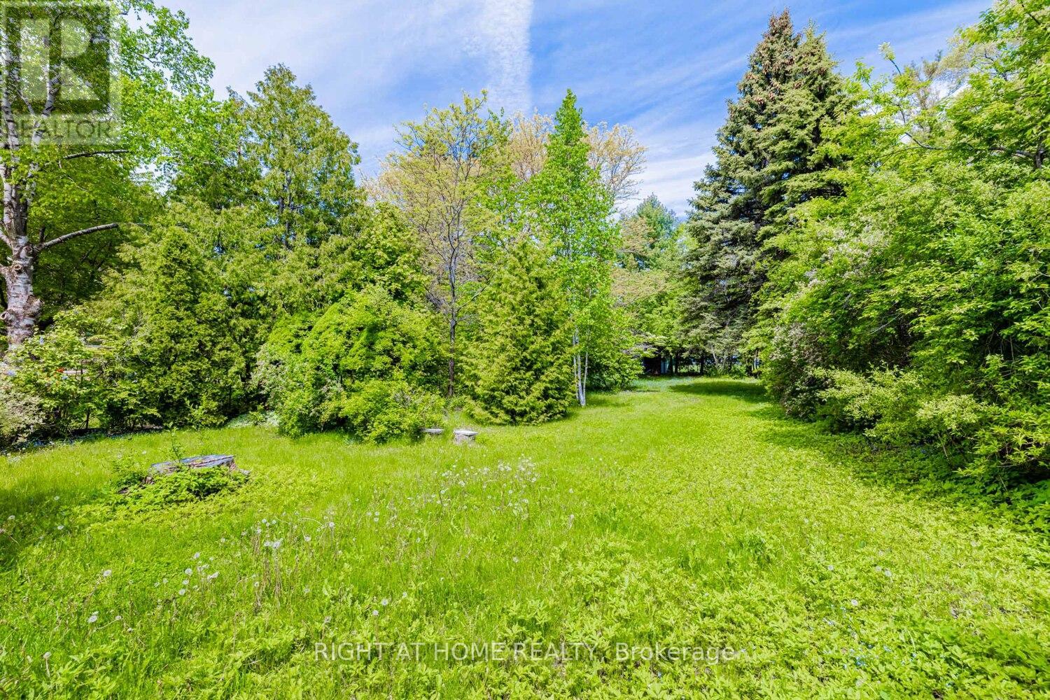 144 Wedgewood Drive, Toronto, Ontario  M2M 2H7 - Photo 28 - C12143089