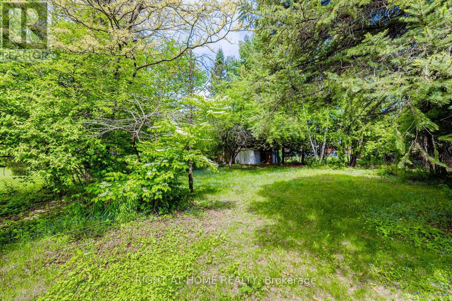 144 Wedgewood Drive, Toronto, Ontario  M2M 2H7 - Photo 29 - C12143089