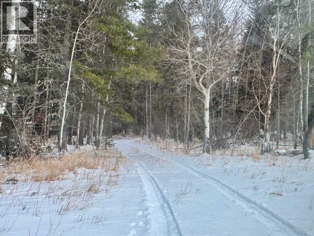 412054 Range Road 6-2, Rural Clearwater County, Alberta  T4T 2A1 - Photo 49 - A2274411