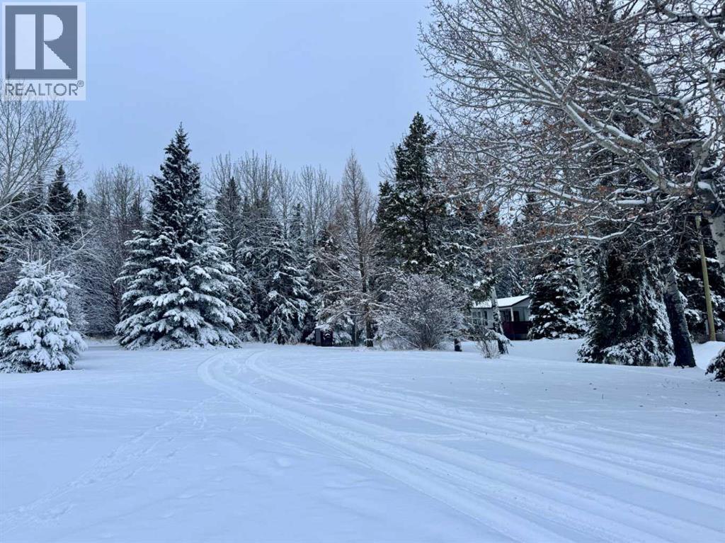 412054 Range Road 6-2, Rural Clearwater County, Alberta  T4T 2A1 - Photo 6 - A2274862