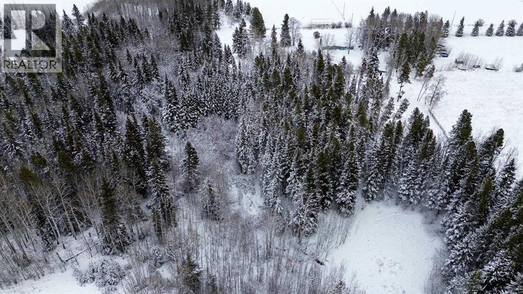 412054 Range Road 6-2, Rural Clearwater County, Alberta  T4T 2A1 - Photo 37 - A2274862