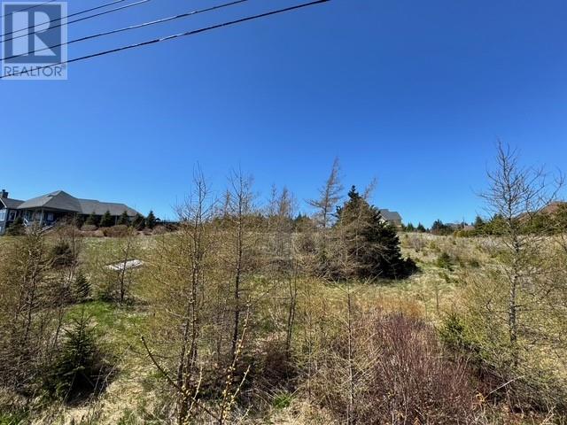 8 Ashkay Drive Unit#lot 11, Logy Bay, Newfoundland & Labrador  A1K 0G6 - Photo 5 - 1293654