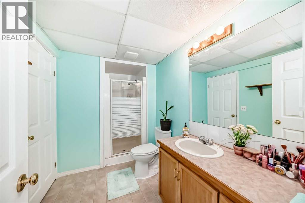 13 Brentwood Drive, Strathmore, Alberta  T1P 1G1 - Photo 35 - A2259669