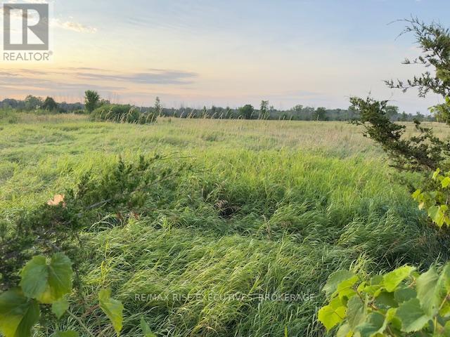 3878 County Rd 8, Greater Napanee, Ontario  K7R 3K7 - Photo 5 - X12686010