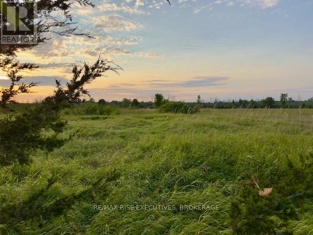 3878 County Rd 8, Greater Napanee, Ontario  K7R 3K7 - Photo 6 - X12686010