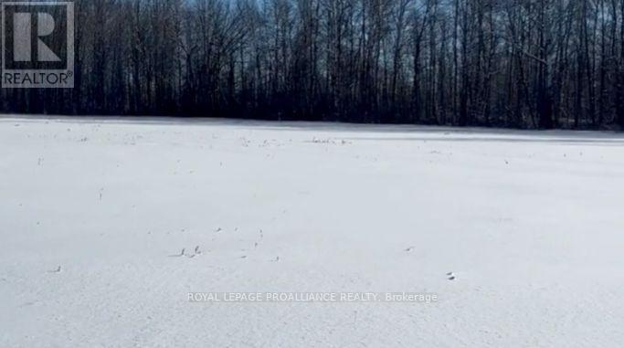 1306 Sulphide Road, Tweed, Ontario  K0K 3J0 - Photo 20 - X12665714