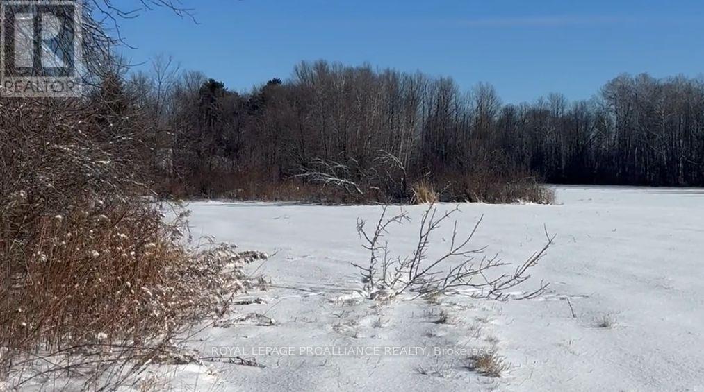 1306 Sulphide Road, Tweed, Ontario  K0K 3J0 - Photo 19 - X12665714