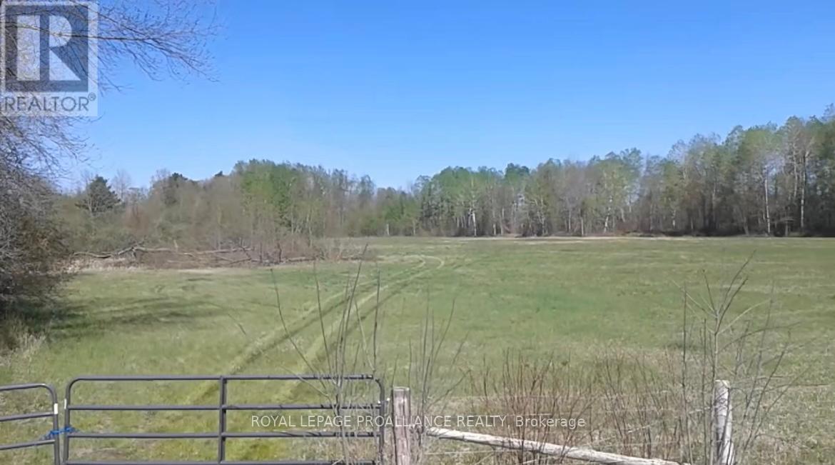 1306 Sulphide Road, Tweed, Ontario  K0K 3J0 - Photo 21 - X12665714