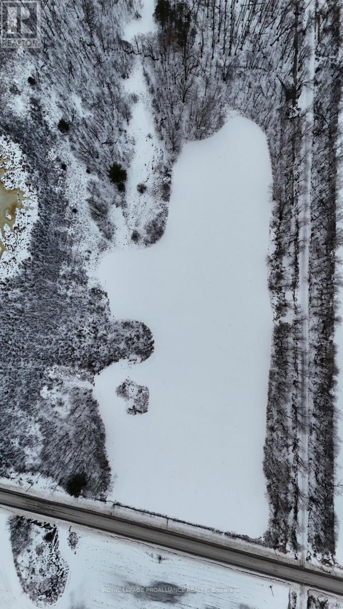 1306 Sulphide Road, Tweed, Ontario  K0K 3J0 - Photo 9 - X12665714