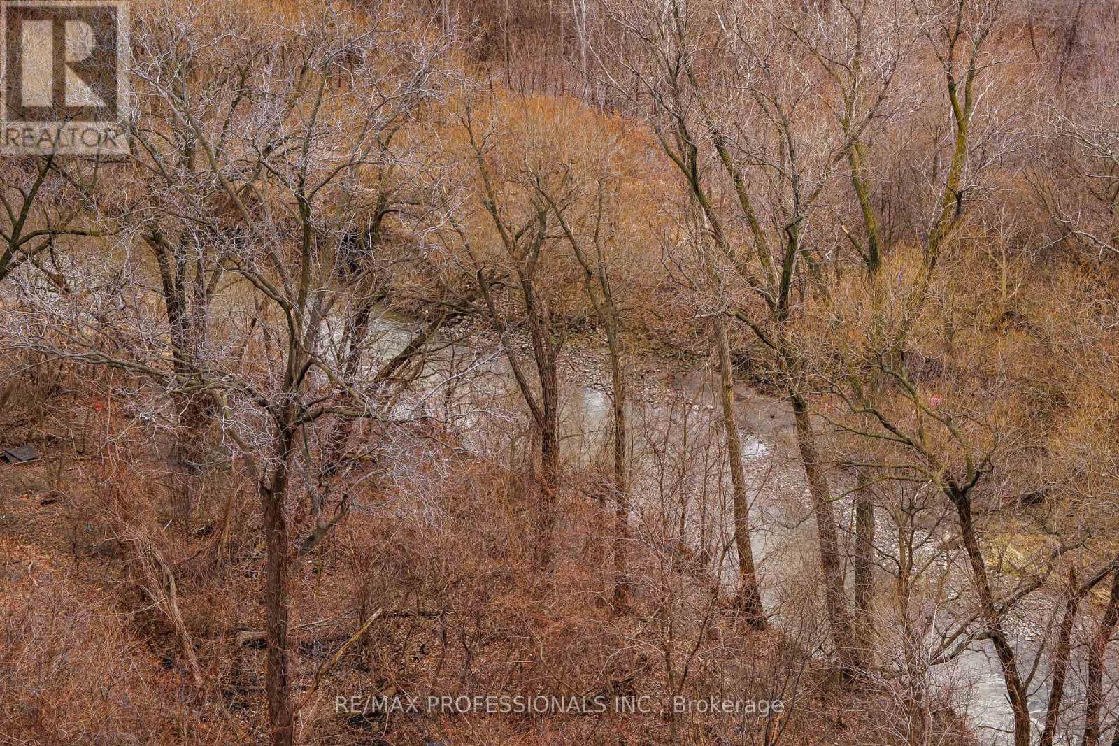 1007 - 88 Park Lawn Road, Toronto, Ontario  M8Y 0B5 - Photo 23 - W12685920