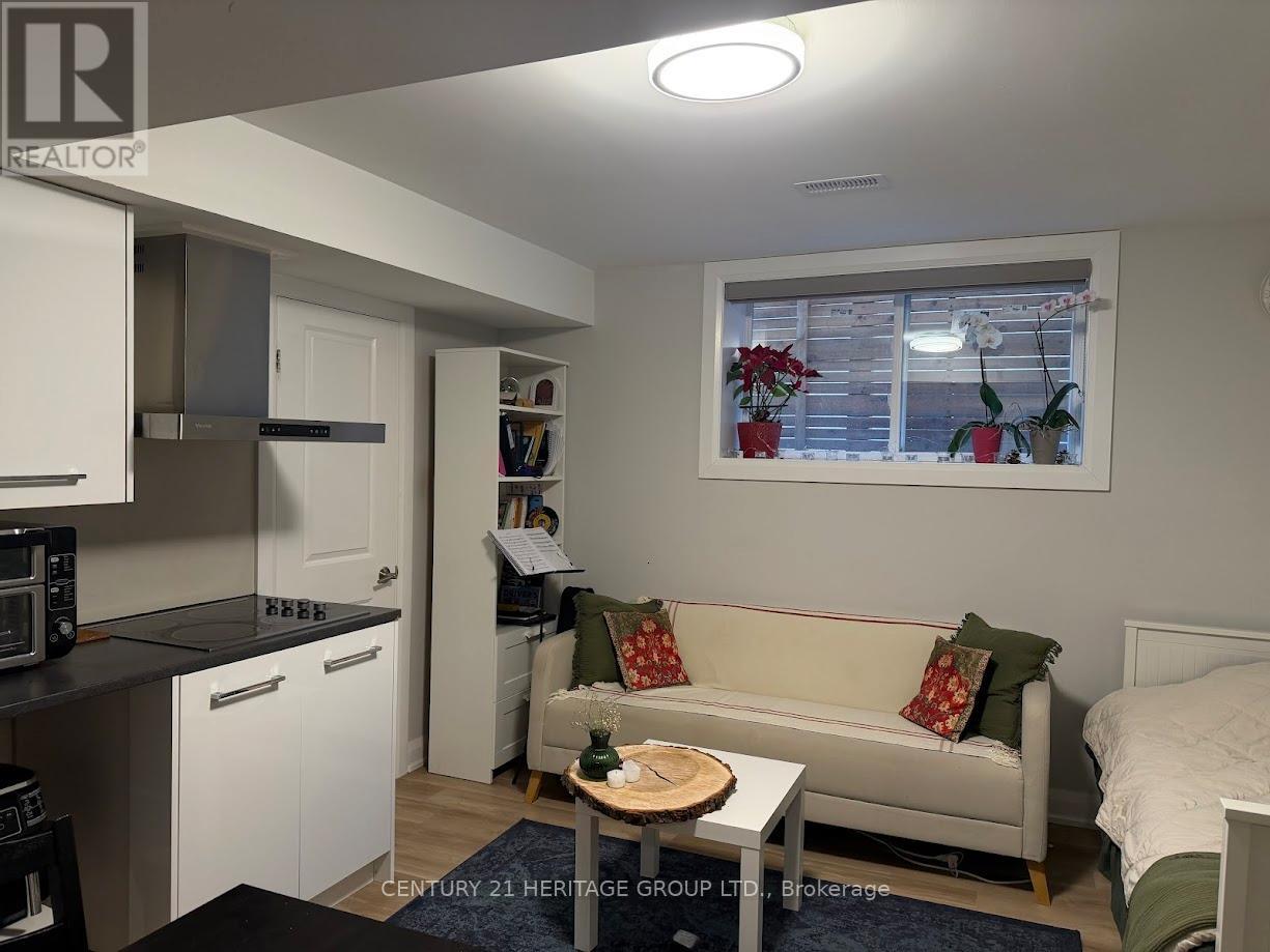 Bsmt C - 43 Birch Avenue, Richmond Hill, Ontario  L4C 6C4 - Photo 6 - N12686100