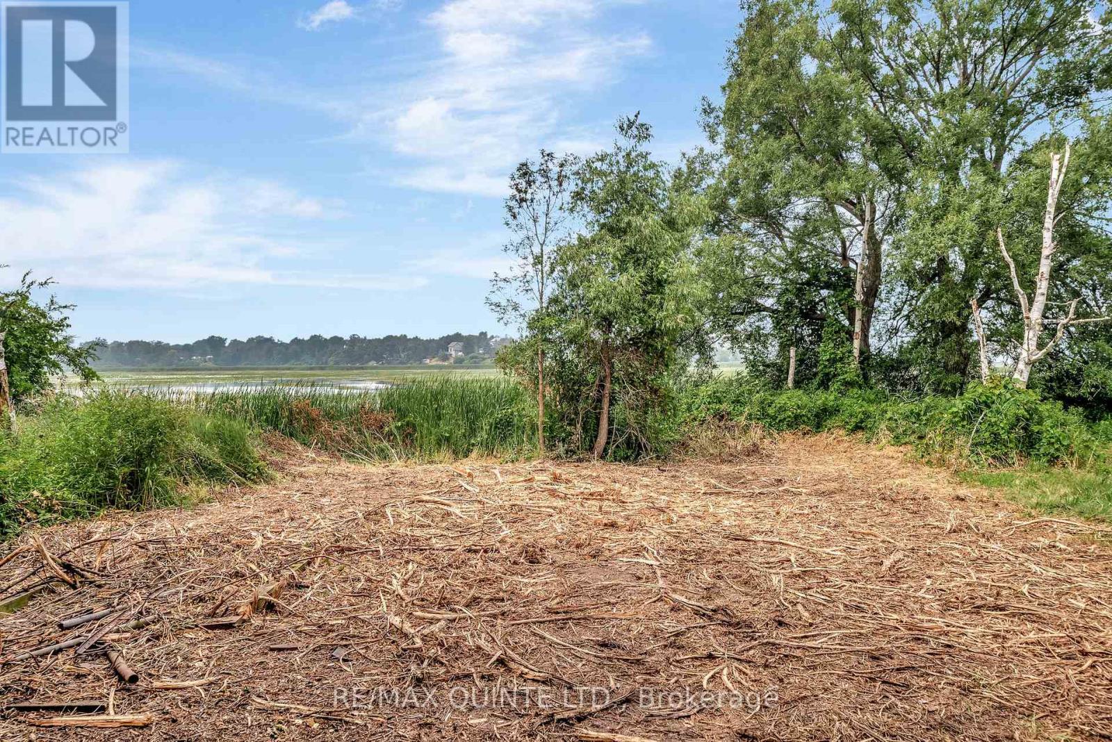 1462 County Road 12, Prince Edward County, Ontario  K0K 2T0 - Photo 37 - X12686406