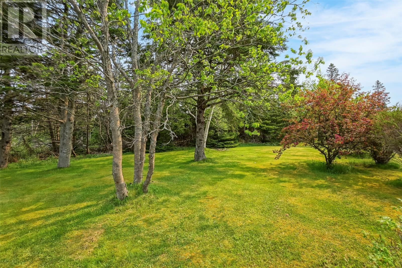 355 Roaches Line, Roaches Line, Newfoundland & Labrador  A0A 1W0 - Photo 46 - 1293637