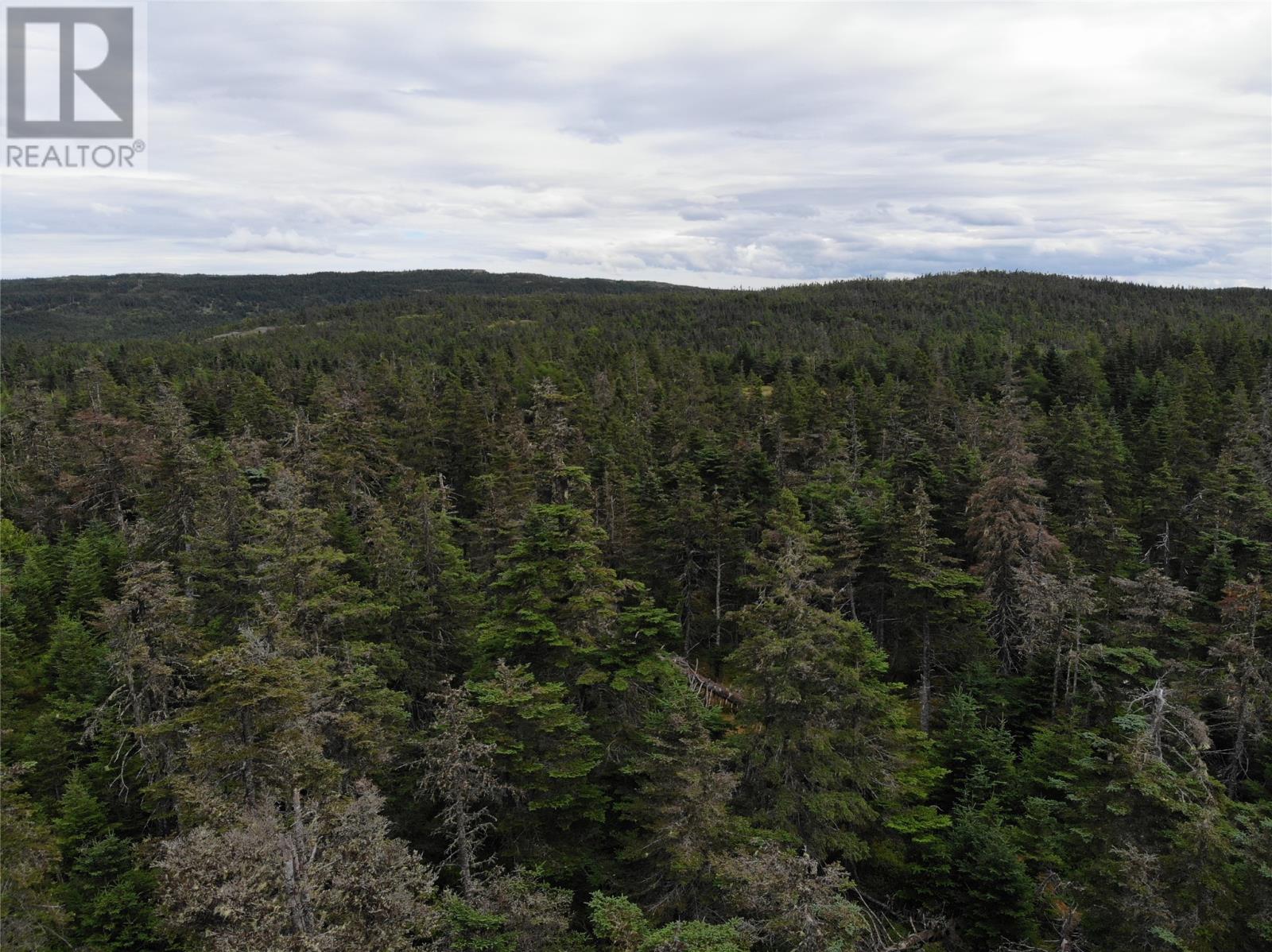 355 Roaches Line, Roaches Line, Newfoundland & Labrador  A0A 1W0 - Photo 5 - 1293637