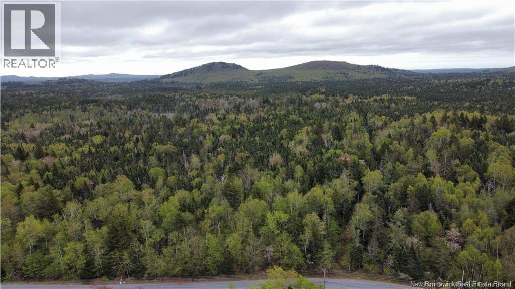 3119 Golden Grove Road, Saint John, New Brunswick  E2S 2T6 - Photo 11 - NB132020