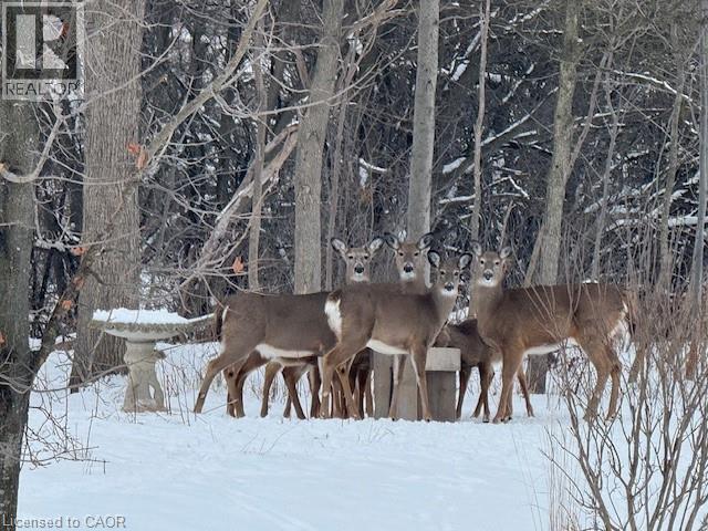 875 University Avenue E Unit# 35, Waterloo, Ontario  N2K 0A1 - Photo 50 - 40797385