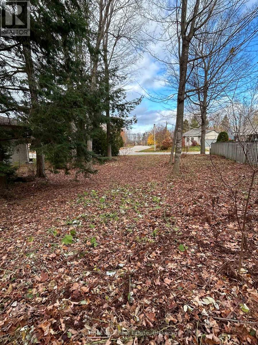 109 Pollard Drive, Meaford, Ontario  N4L 1A6 - Photo 5 - X12686488