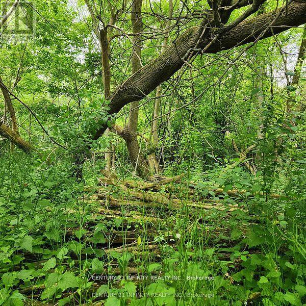 0-B Howard (Northwest Lot) Street, Port Hope, Ontario L1A 0B2 - Photo 1 - X12686606