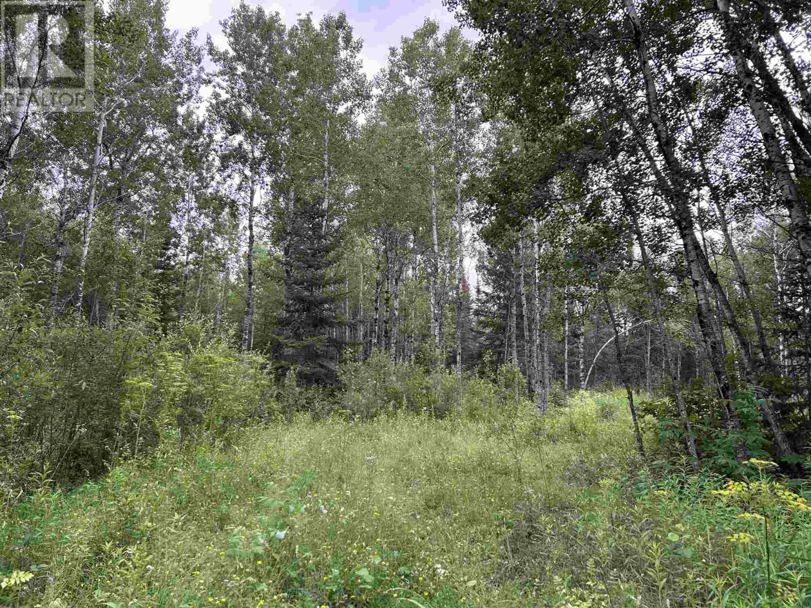 905 Frog Creek Rd, Alberton, Ontario  P9A 3M2 - Photo 4 - TB2600034