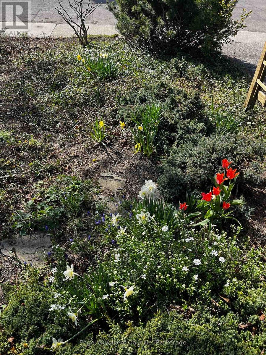 115 Welbourn Drive, Hamilton, Ontario  L9A 3N5 - Photo 39 - X12686672