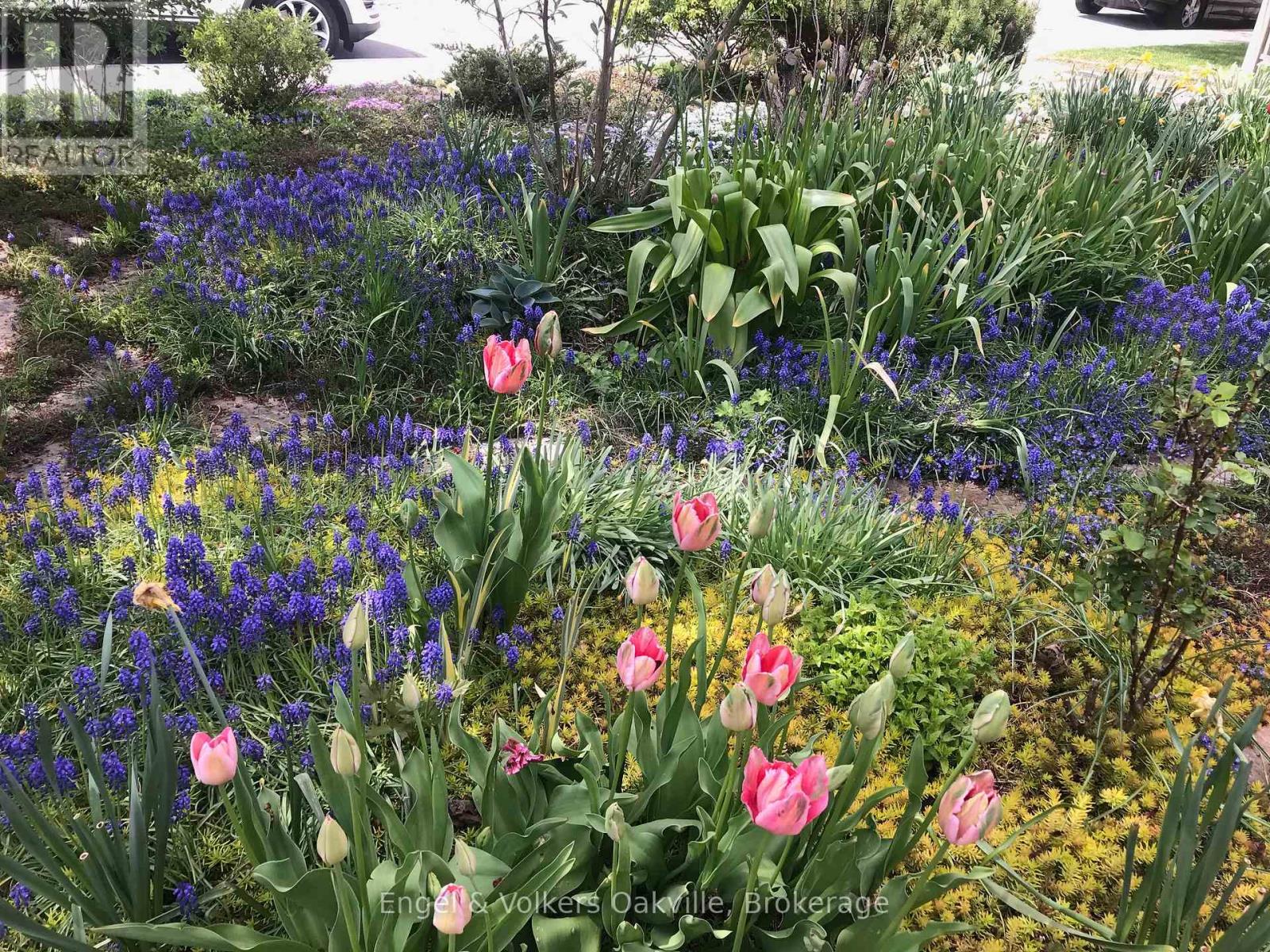 115 Welbourn Drive, Hamilton, Ontario  L9A 3N5 - Photo 40 - X12686672