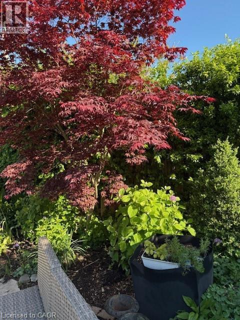 501 George Street, Woodstock, Ontario  N4S 4J3 - Photo 43 - 40786081