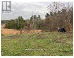 6385 YONGE STREET, Innisfil, Ontario