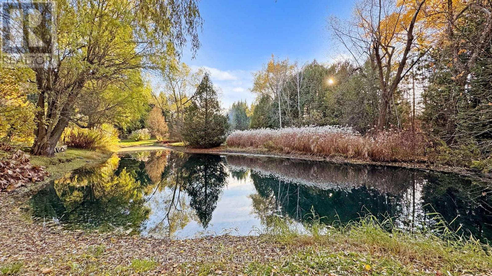 1538 Concession Road 4 Concession, Adjala-Tosorontio, Ontario  L0G 1L0 - Photo 13 - N12686770