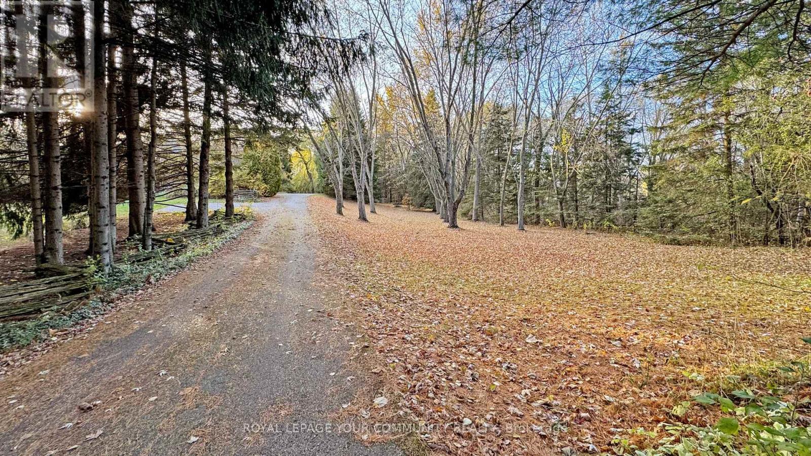 1538 Concession Road 4 Concession, Adjala-Tosorontio, Ontario  L0G 1L0 - Photo 4 - N12686770