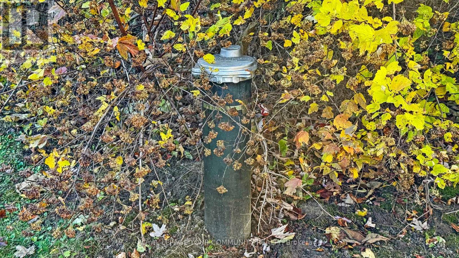 1538 Concession Road 4 Concession, Adjala-Tosorontio, Ontario  L0G 1L0 - Photo 50 - N12686770