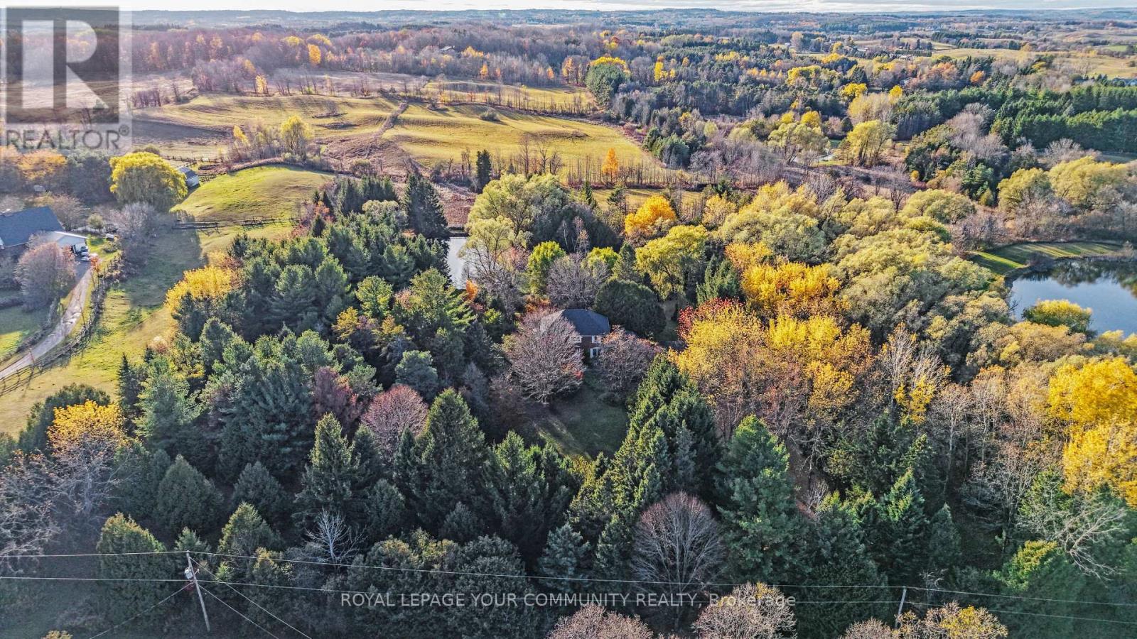 1538 Concession Road 4 Concession, Adjala-Tosorontio, Ontario  L0G 1L0 - Photo 9 - N12686770