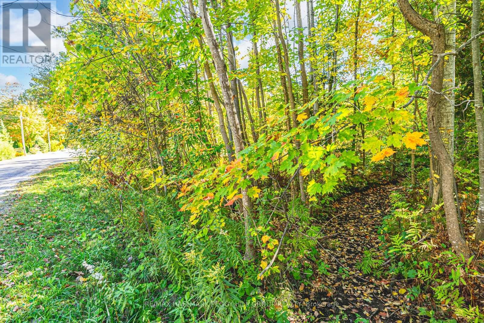 138 Moreau Parkway, Tiny, Ontario  L9M 0H3 - Photo 9 - S12481376