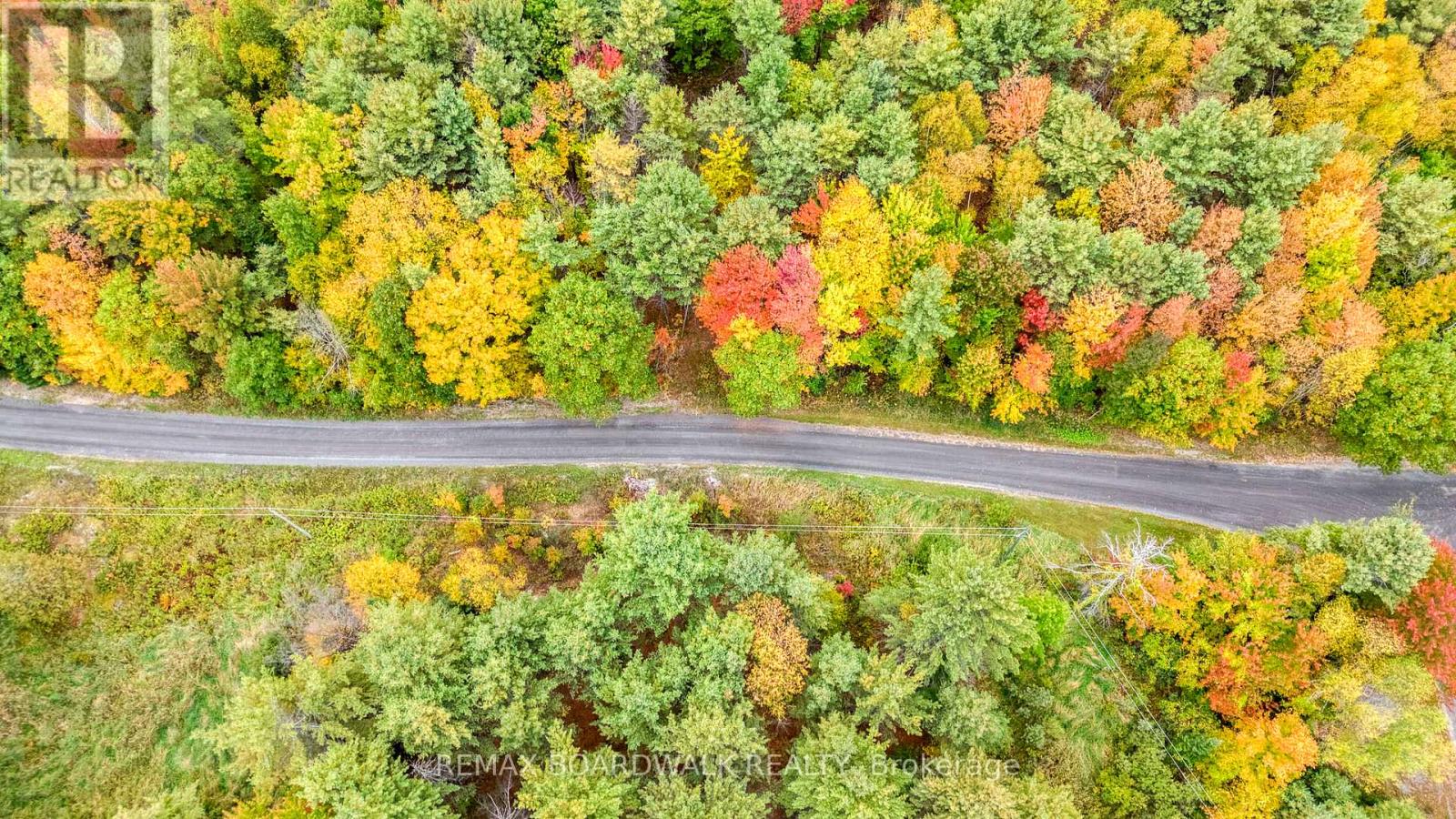 Lot 132 Ramsay Con 3c Road, Mississippi Mills, Ontario  K0A 1A0 - Photo 9 - X12412092