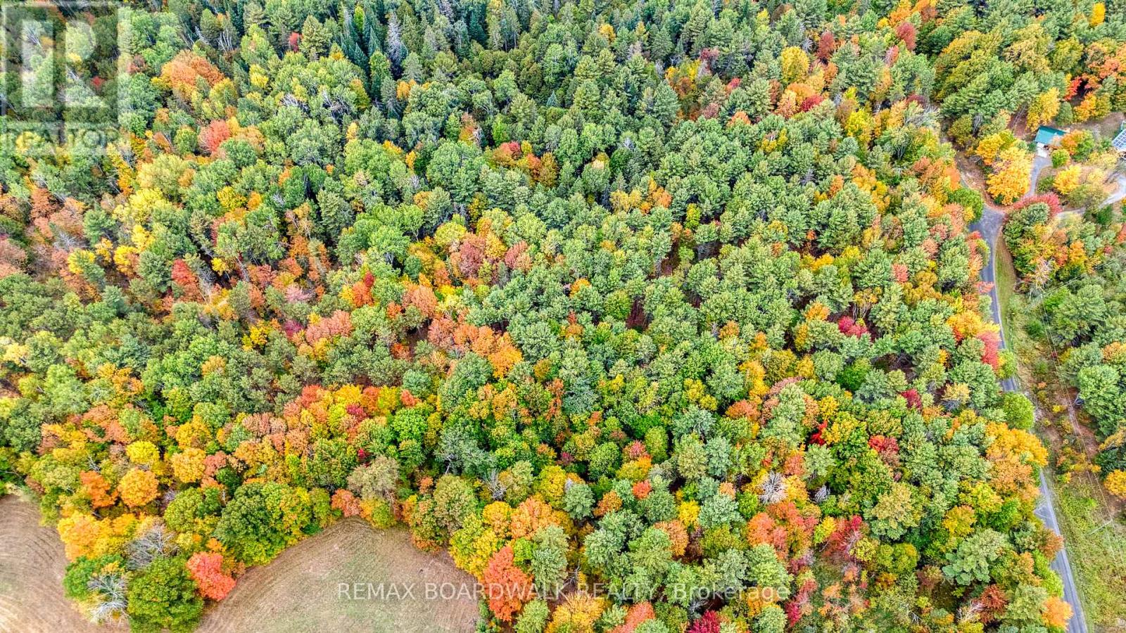 Lot 132 Ramsay Con 3c Road, Mississippi Mills, Ontario  K0A 1A0 - Photo 12 - X12412092