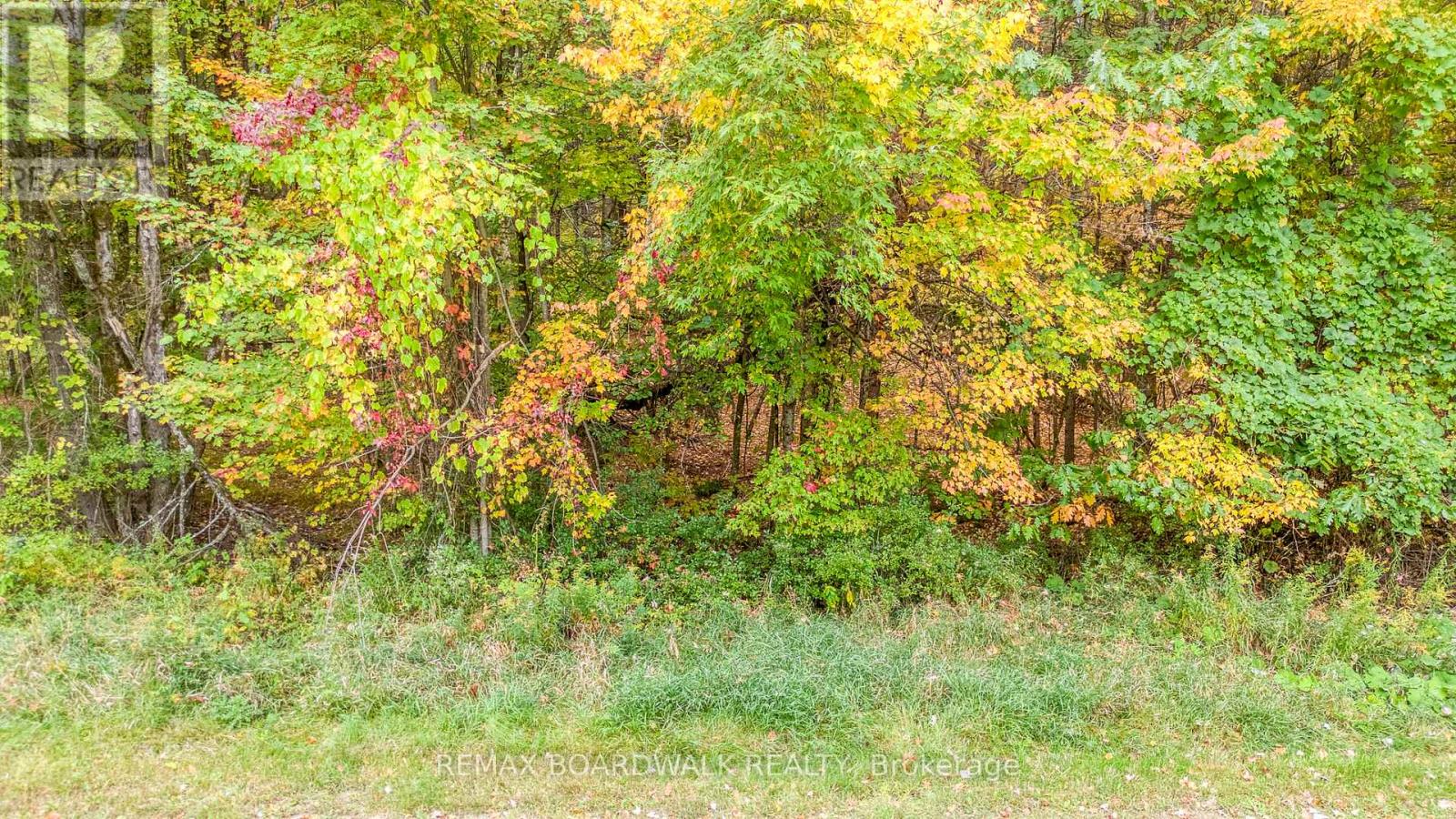 Lot 132 Ramsay Con 3c Road, Mississippi Mills, Ontario  K0A 1A0 - Photo 6 - X12412092