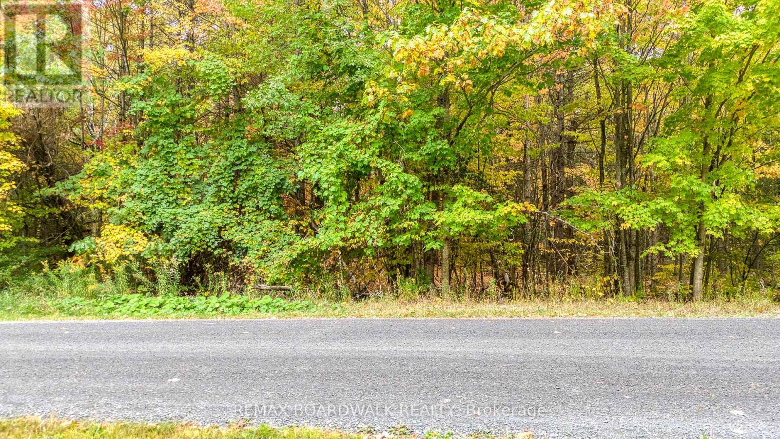 Lot 132 Ramsay Con 3c Road, Mississippi Mills, Ontario  K0A 1A0 - Photo 5 - X12412092