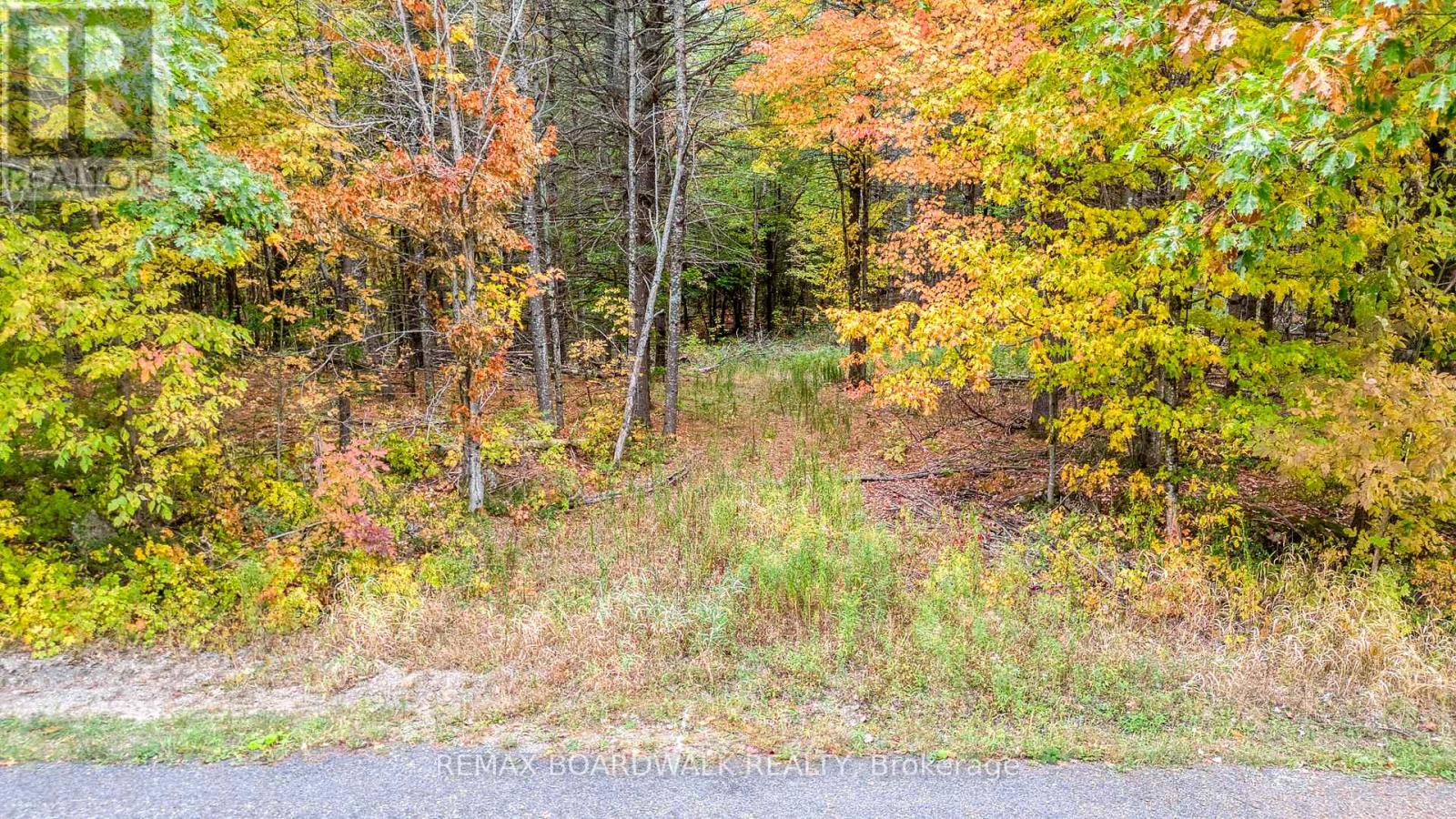 Lot 132 Ramsay Con 3c Road, Mississippi Mills, Ontario  K0A 1A0 - Photo 7 - X12412092