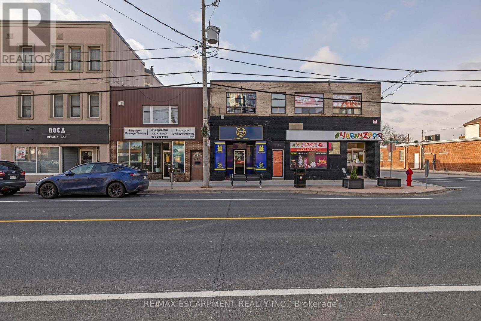 542 Concession Street, Hamilton, Ontario  L8V 1A9 - Photo 4 - X12686646