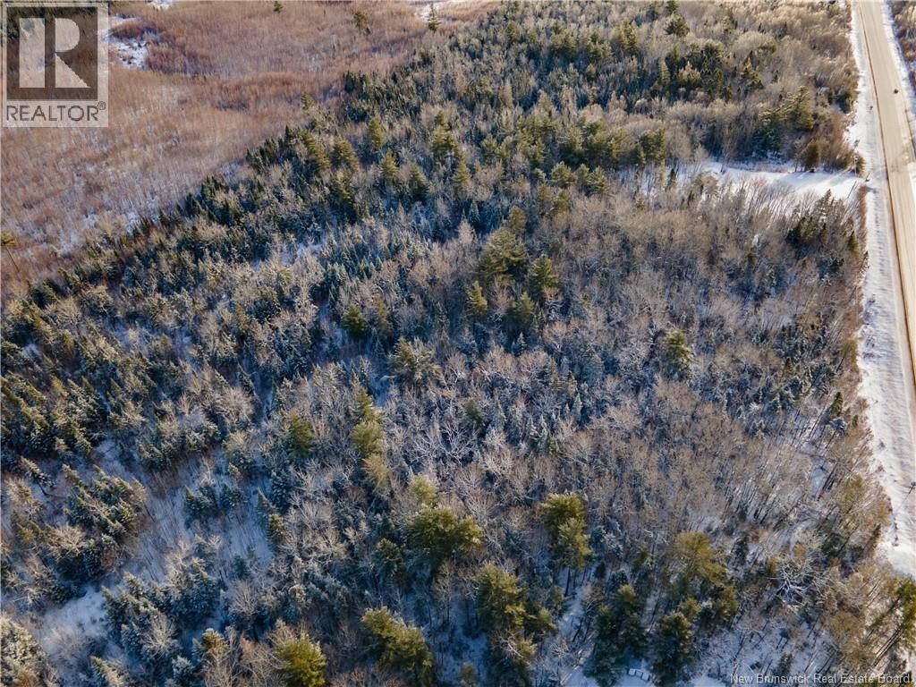 Lot Route 10, Coles Island, New Brunswick  E4C 2P4 - Photo 4 - NB131956