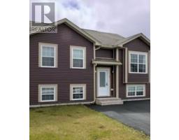 1 Henry Larsen Street, St. John's, Newfoundland & Labrador