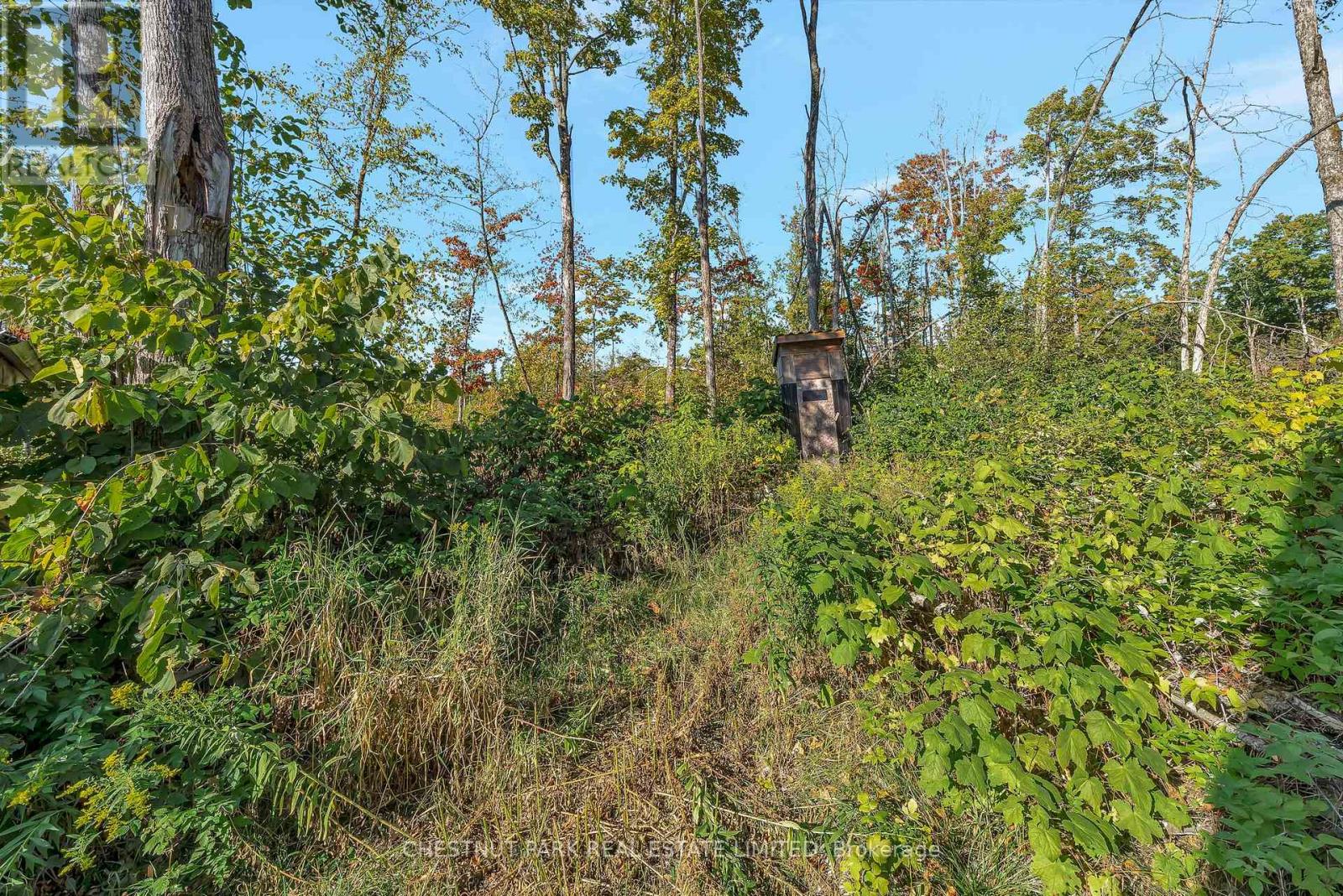 682 Felbers Road, Tudor And Cashel, Ontario  K0K 1Y0 - Photo 30 - X12687008