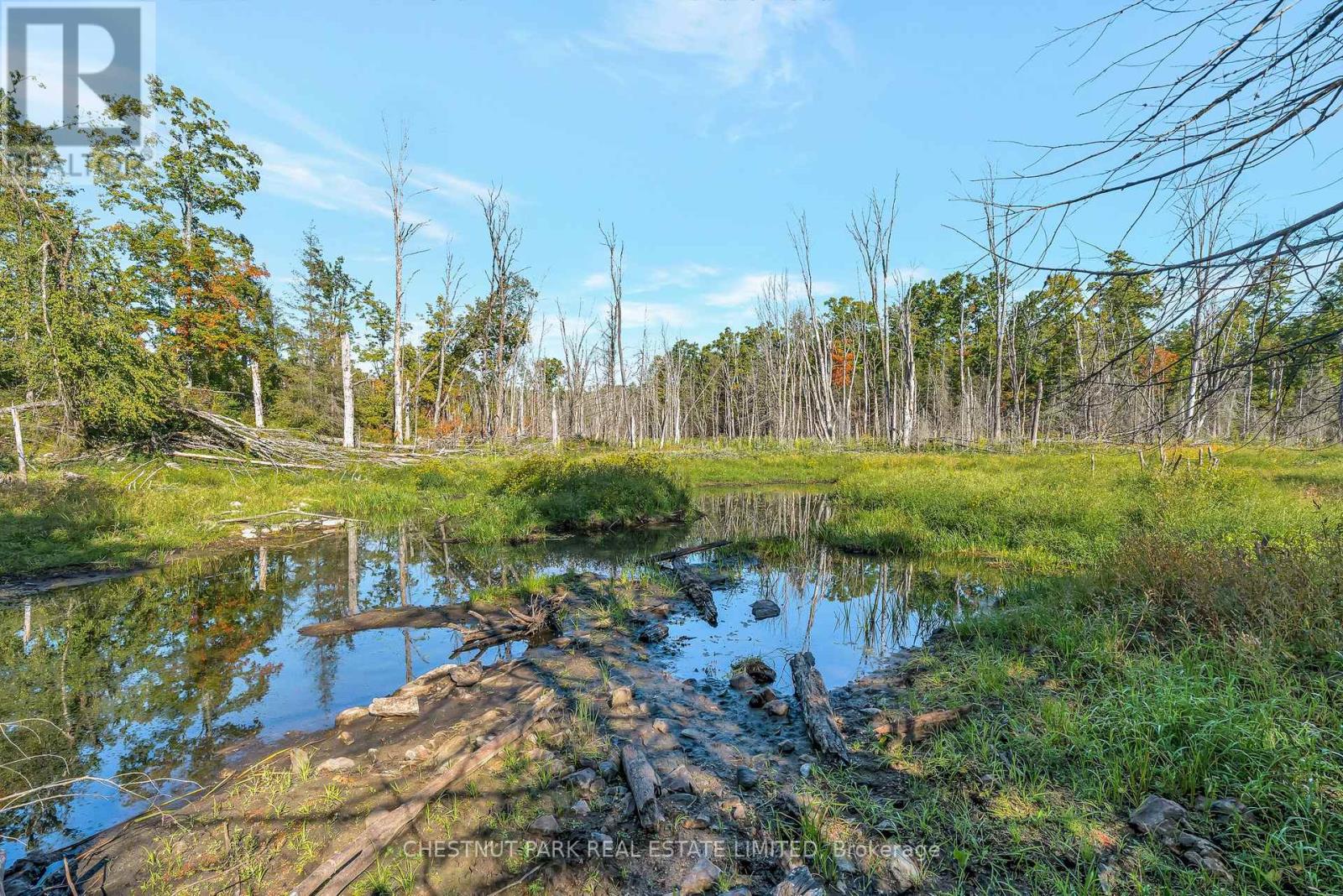 682 Felbers Road, Tudor And Cashel, Ontario  K0K 1Y0 - Photo 33 - X12687008