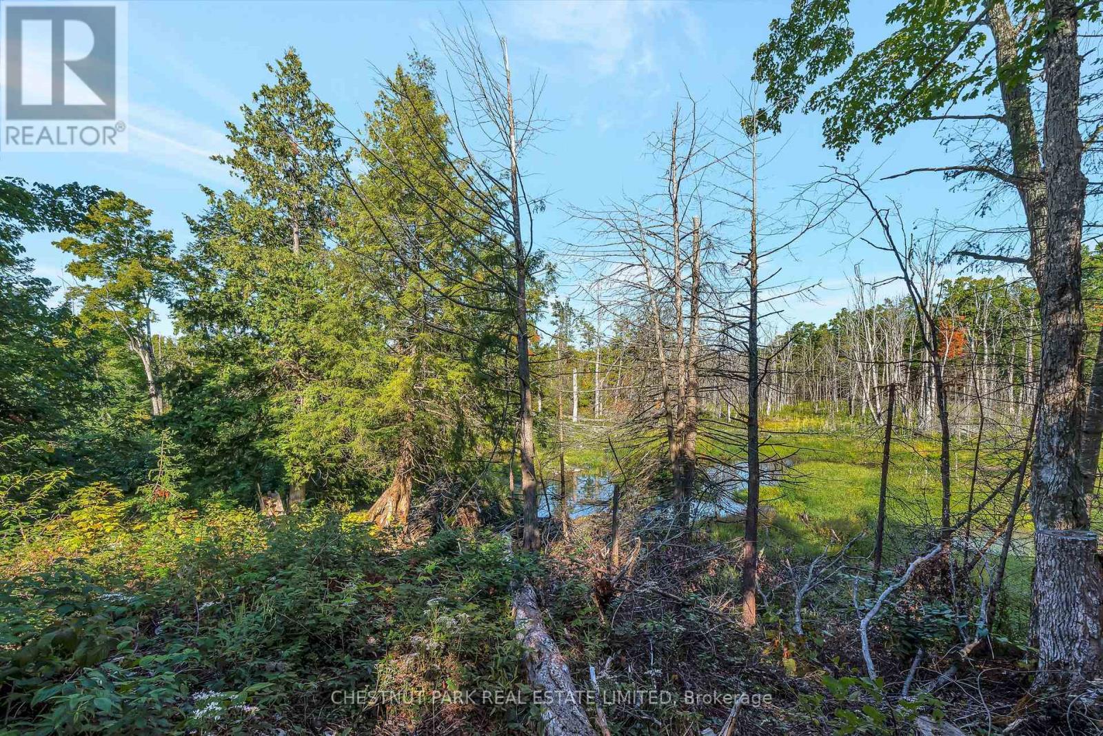 682 Felbers Road, Tudor And Cashel, Ontario  K0K 1Y0 - Photo 35 - X12687008