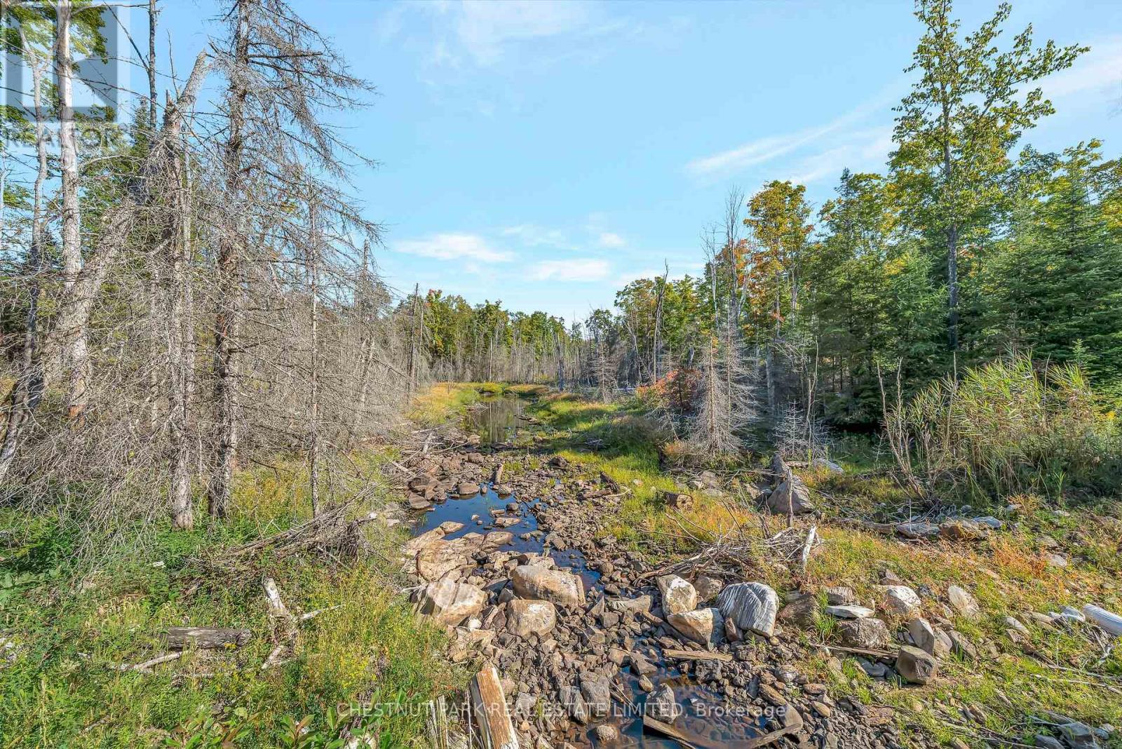 682 Felbers Road, Tudor And Cashel, Ontario  K0K 1Y0 - Photo 38 - X12687008