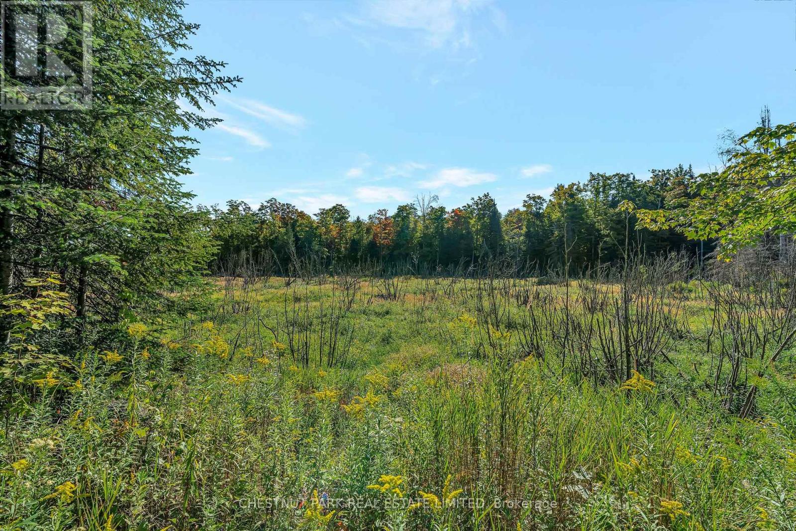 682 Felbers Road, Tudor And Cashel, Ontario  K0K 1Y0 - Photo 41 - X12687008