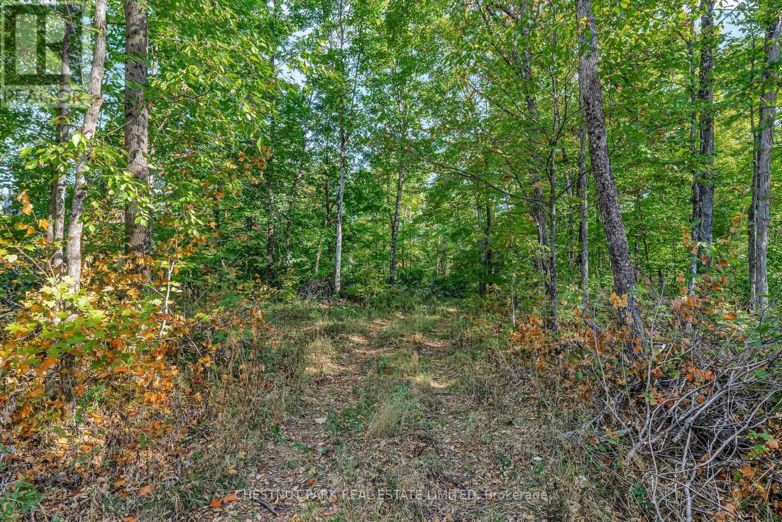 682 Felbers Road, Tudor And Cashel, Ontario  K0K 1Y0 - Photo 47 - X12687008