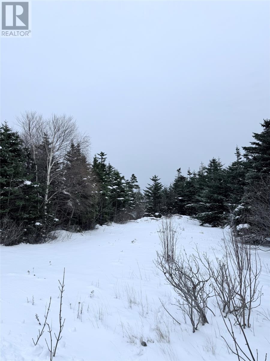 834 Main Road, Pouch Cove, Newfoundland & Labrador  A0A 3L0 - Photo 17 - 1293606