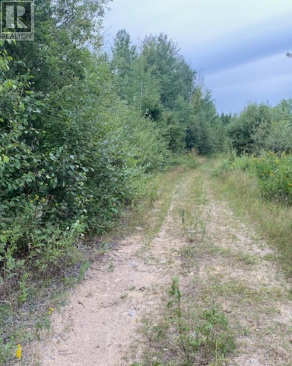 Gaye St, Kenora, Ontario  P9N 0A8 - Photo 5 - TB252580